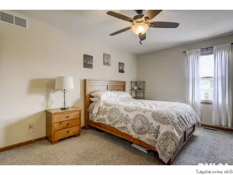 3802 Bristlecone Dr, Springfield, IL 62712 photo 14