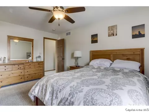 3802 Bristlecone Dr, Springfield, IL 62712 photo 13