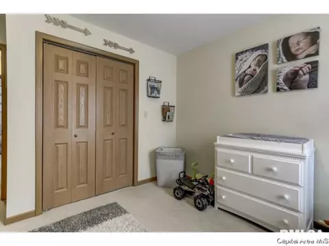 3802 Bristlecone Dr, Springfield, IL 62712 photo 24