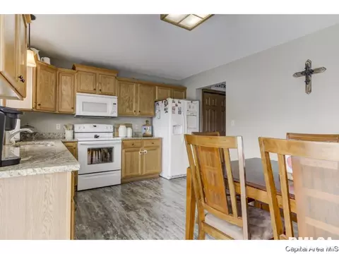 3802 Bristlecone Dr, Springfield, IL 62712 photo 5