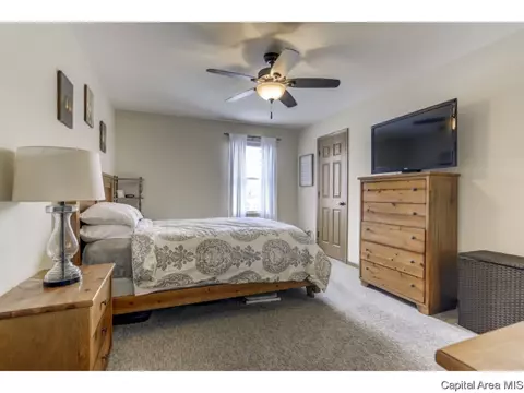 3802 Bristlecone Dr, Springfield, IL 62712 photo 16