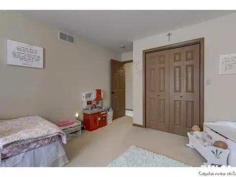 3802 Bristlecone Dr, Springfield, IL 62712 photo 20