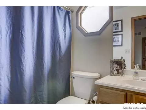 3802 Bristlecone Dr, Springfield, IL 62712 photo 17