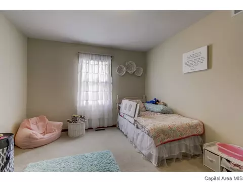 3802 Bristlecone Dr, Springfield, IL 62712 photo 19