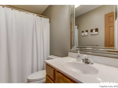 3802 Bristlecone Dr, Springfield, IL 62712 photo 28