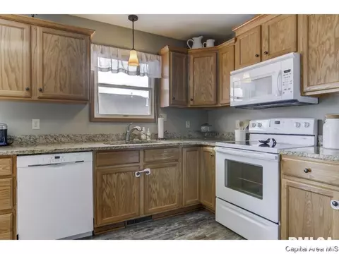 3802 Bristlecone Dr, Springfield, IL 62712 photo 7