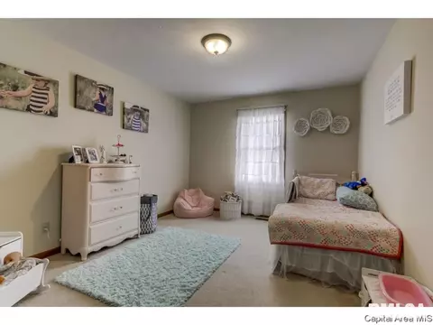3802 Bristlecone Dr, Springfield, IL 62712 photo 18