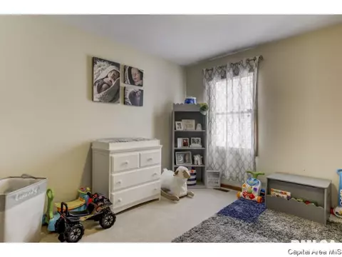 3802 Bristlecone Dr, Springfield, IL 62712 photo 22