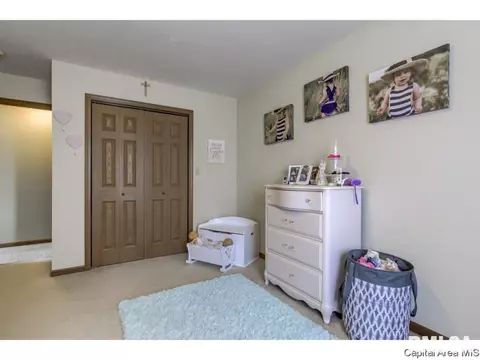 3802 Bristlecone Dr, Springfield, IL 62712 photo 21