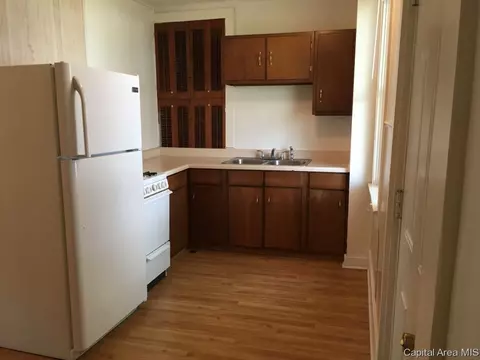 205 W Elliott Ave, Springfield, IL 62702 photo 12