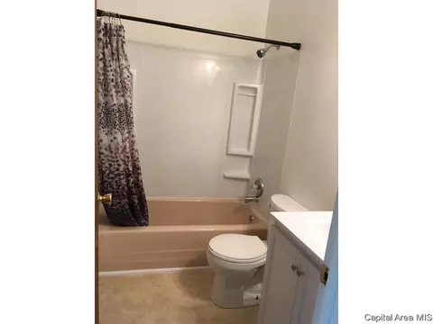 205 W Elliott Ave, Springfield, IL 62702 photo 11