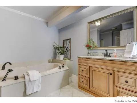 1121 Harmony Ct, Springfield, IL 62703 photo 21