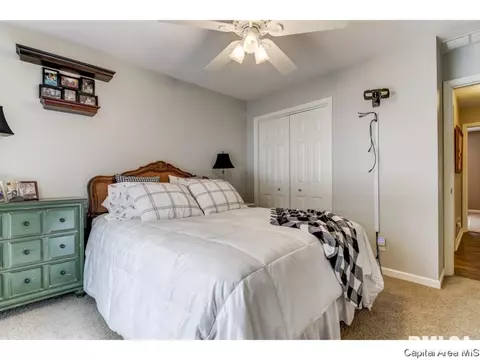 1121 Harmony Ct, Springfield, IL 62703 photo 15