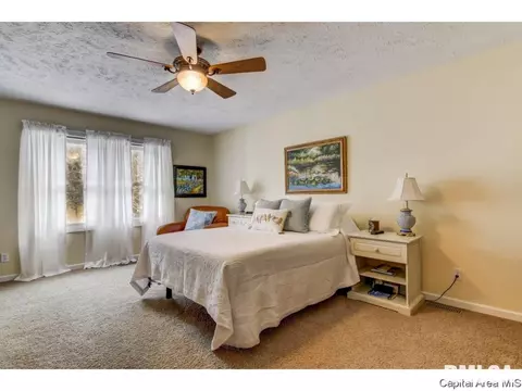 1121 Harmony Ct, Springfield, IL 62703 photo 19