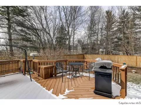 1121 Harmony Ct, Springfield, IL 62703 photo 27