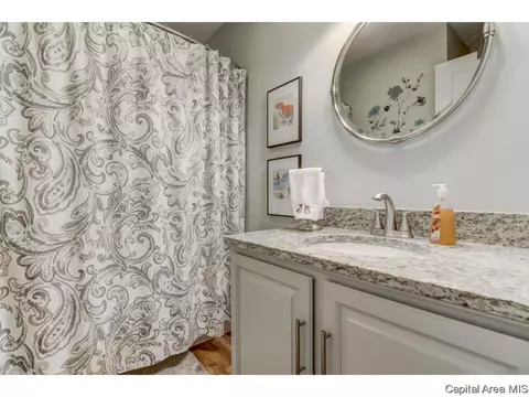 1121 Harmony Ct, Springfield, IL 62703 photo 13