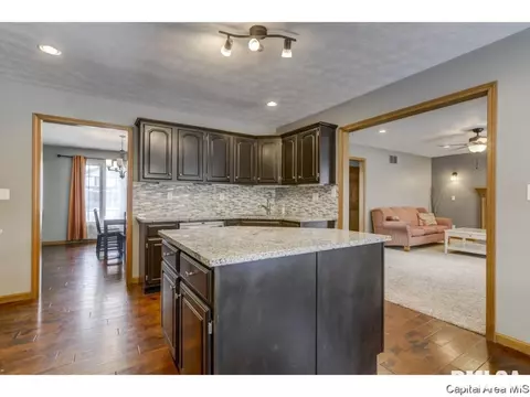 3012 Catalpa, Springfield, IL 62712 photo 9