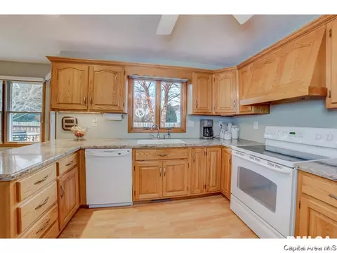 1006 Mesa Dr, Chatham, IL 62629 photo 9