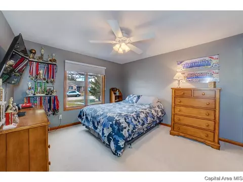 1006 Mesa Dr, Chatham, IL 62629 photo 24