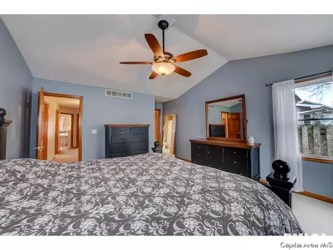1006 Mesa Dr, Chatham, IL 62629 photo 20