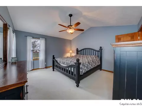 1006 Mesa Dr, Chatham, IL 62629 photo 17