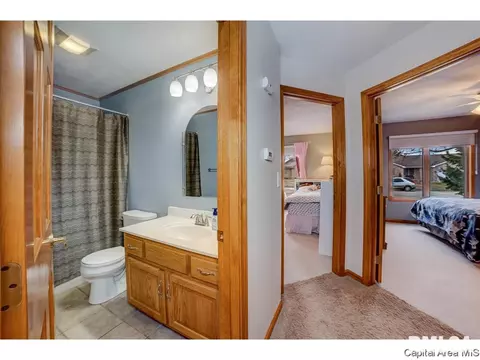 1006 Mesa Dr, Chatham, IL 62629 photo 21