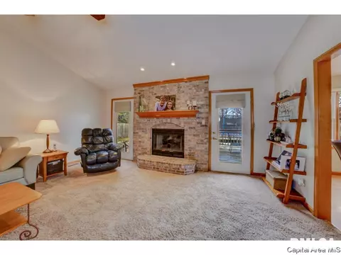1006 Mesa Dr, Chatham, IL 62629 photo 28
