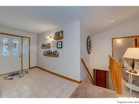1006 Mesa Dr, Chatham, IL 62629 photo 5