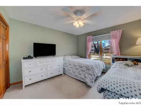 1006 Mesa Dr, Chatham, IL 62629 photo 22