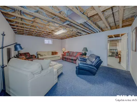 1006 Mesa Dr, Chatham, IL 62629 photo 30