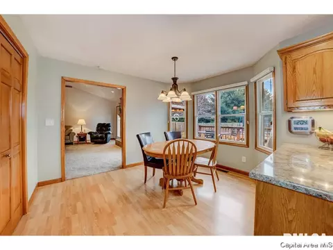 1006 Mesa Dr, Chatham, IL 62629 photo 12