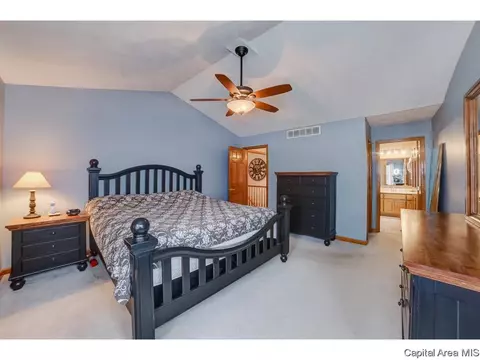 1006 Mesa Dr, Chatham, IL 62629 photo 19