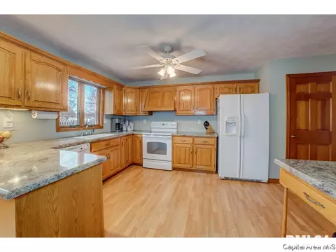 1006 Mesa Dr, Chatham, IL 62629 photo 11