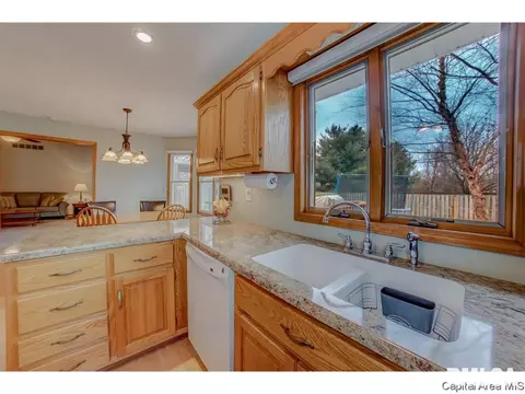 1006 Mesa Dr, Chatham, IL 62629 photo 8