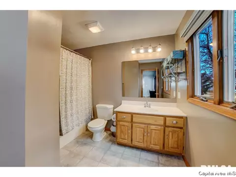 1006 Mesa Dr, Chatham, IL 62629 photo 16