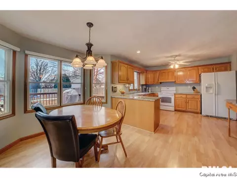 1006 Mesa Dr, Chatham, IL 62629 photo 13