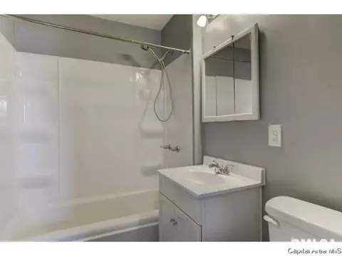 1540 E Watch Ave, Springfield, IL 62702 photo 17