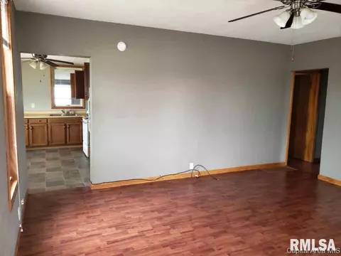 385 E Jefferson St, Greenview, IL 62642 photo 4