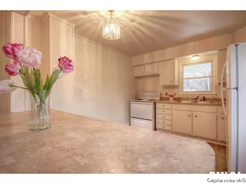 2240 E Watch Ave, Springfield, IL 62702 photo 9