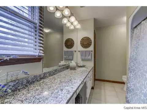 709 Clipper Dr, Springfield, IL 62711 photo 29