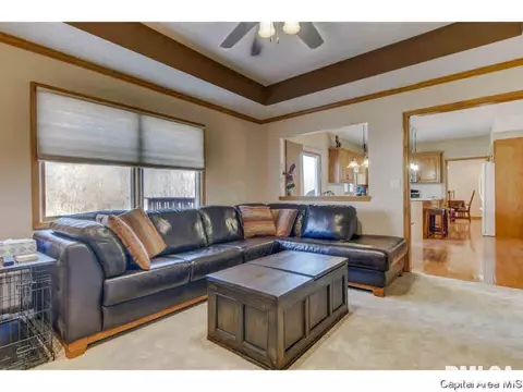 4641 Barrington Dr, Springfield, IL 62711 photo 8