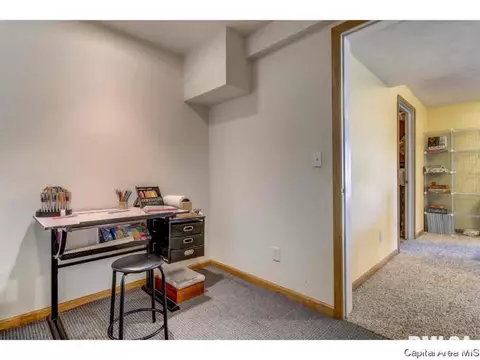 4641 Barrington Dr, Springfield, IL 62711 photo 28