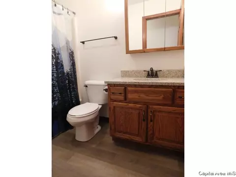 6304 Hayley Ct, Springfield, IL 62707 photo 17