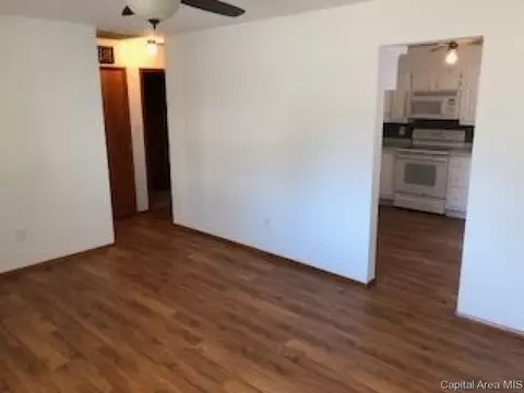 1817 E Keys Ave, Springfield, IL 62702 photo 3