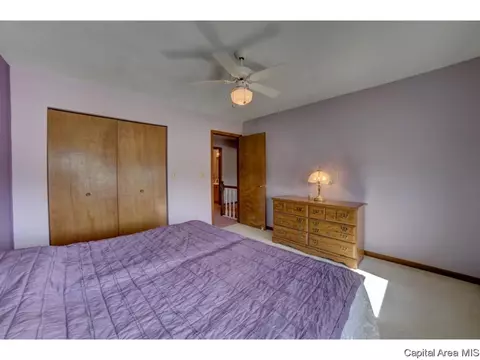 3113 La Conner, Springfield, IL 62704 photo 23