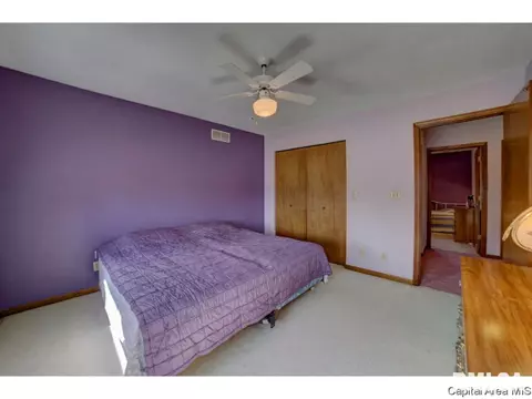 3113 La Conner, Springfield, IL 62704 photo 24