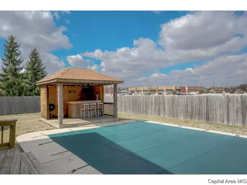3113 La Conner, Springfield, IL 62704 photo 29