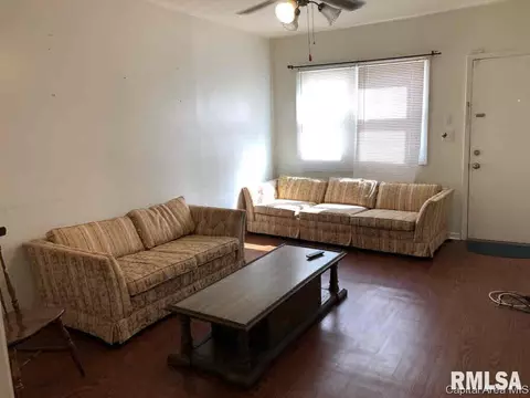 625 E Wood Ave, Springfield, IL 62702 photo 8