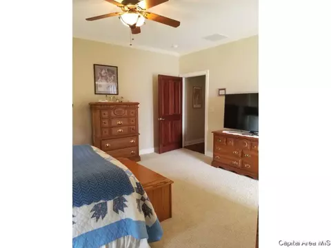 2407 Interlacken Dr, Springfield, IL 62704 photo 19