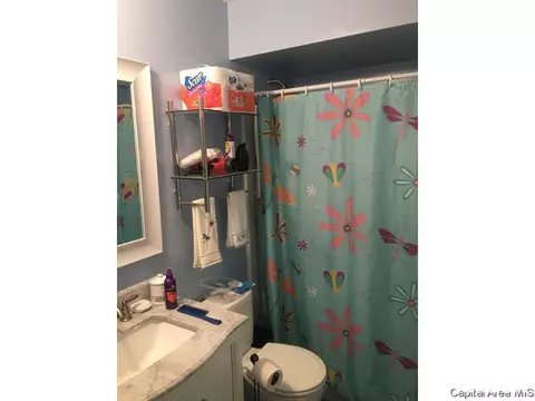 13 Oakbend Ct, Springfield, IL 62704 photo 4